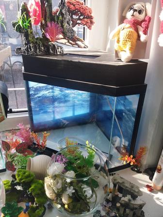 Аквариум 25л