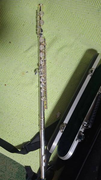 Модель DZ-100 Debut.