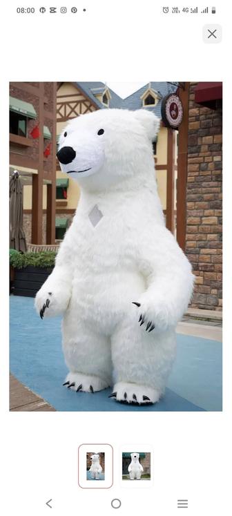 Прокат Мишки Тедди