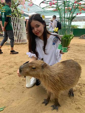 Репетитор по английскому языку