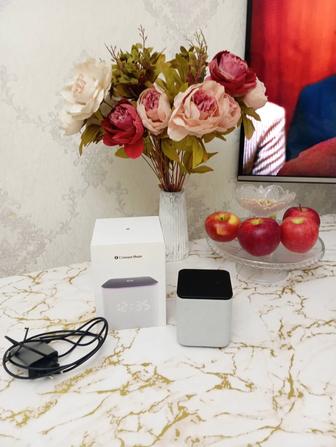 Продам Алису миди