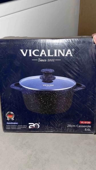 Казан Vicalina 8.6л