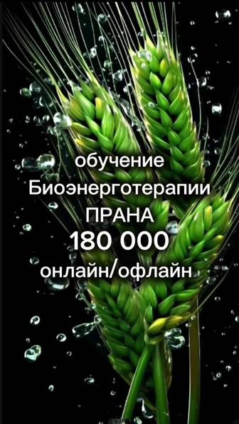 Биоэнерготерапия Прана