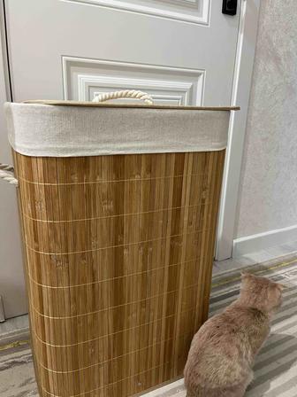 Отдам даром милого котенка