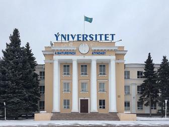 Помощь по учебным работам