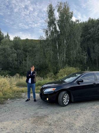 Трезвый водитель