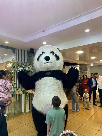 Мишка аюмен бірге туған күн құттықтаймыз тойларға шығамыз шоулар көрсетем