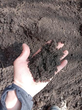 Чернозем плодароный