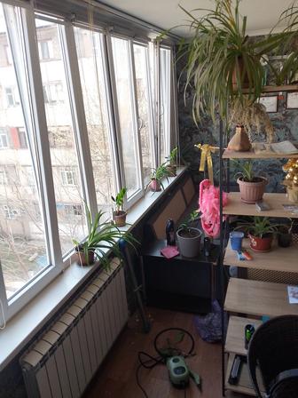 Уборка Мойка окон, квартир, офисов, не дорого