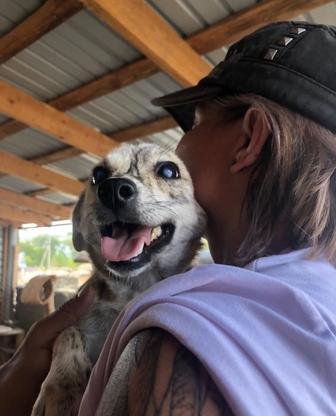 Комфортное зоотакси