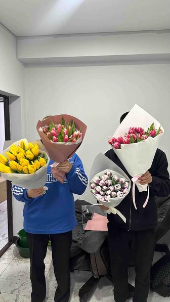 Тюльпаны оптом и в розницу