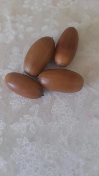 Продам желуди дачные, свежие
