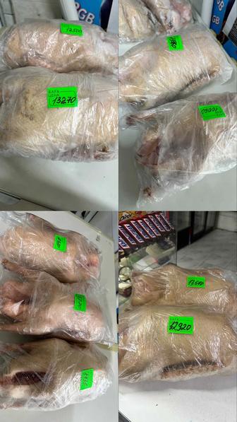 Гуси домашние