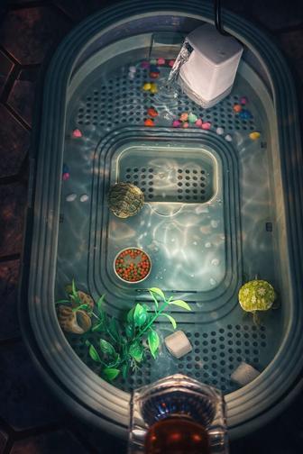 Террариум для черепах