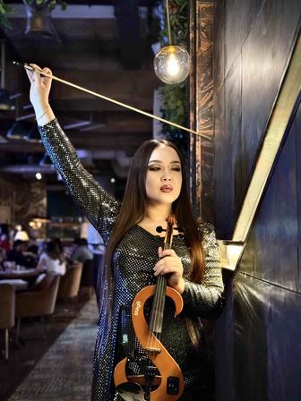 Скрипка DJ Модное решение для вашего торжества