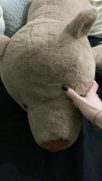 Продам медведя