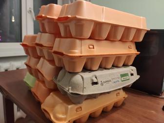 Лотки от яиц