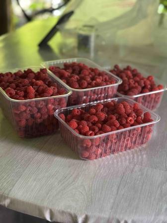 Продается малина
