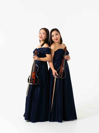 Электро скрипка, соло, дуэт, трио, квартет.Струнный квартет. Встреча гостей