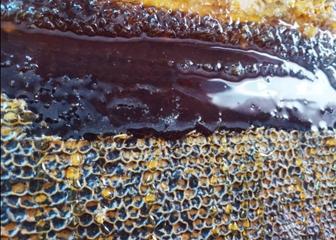 Мед лесной натуральный редкий