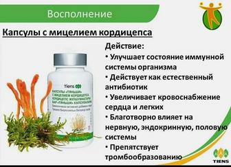 Капсулы Тяньши с мицелием кордицепса