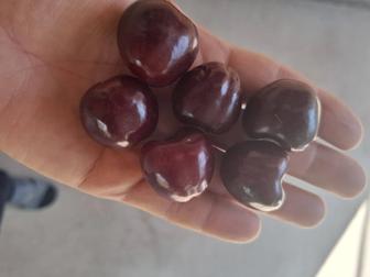 Обрезка деревьев, опрыскивание, внесение удобрений, побелка