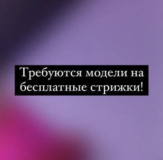 Бесплатные модели на стрижку