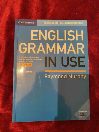 English grammar in use