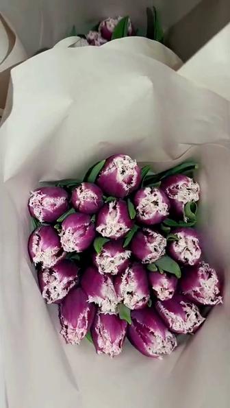 Оптом и в розницу тюльпаны разных видов