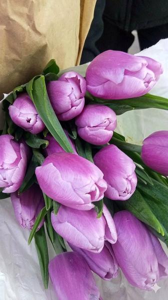 Оптом и в розницу тюльпаны разных видов