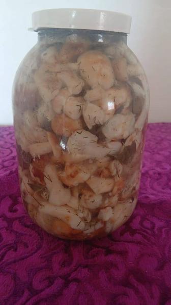 Санырауқұлақ сатылады