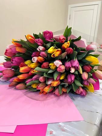 Тюльпаны оптом от производителя голландские сорта