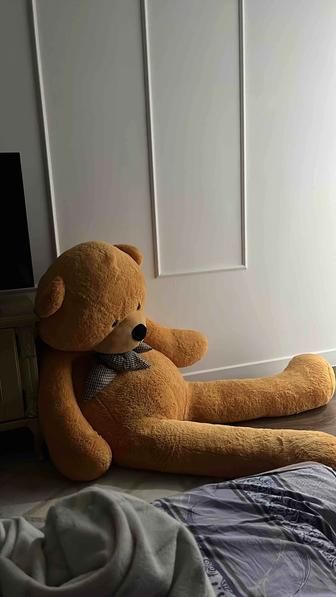 Мишка 2 метра