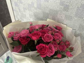 Продам цветы