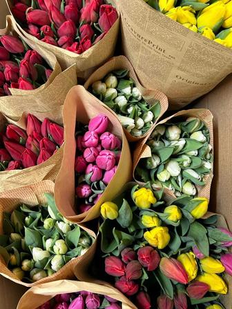 Тюльпаны, подарки к 8 марта