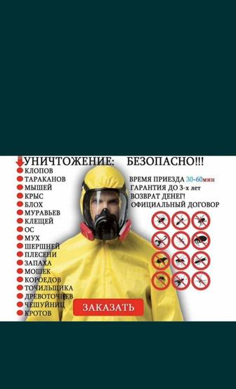 Дизенфекция от всех насикомых и вредителей