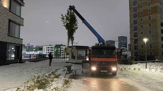 Услуги манипулятора