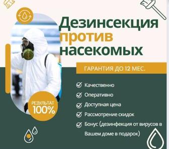 Дезинфекция ,дезинсекция