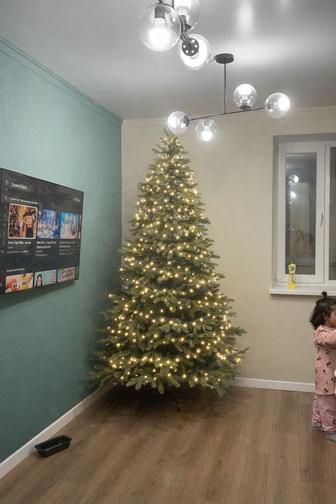 Продаю елку