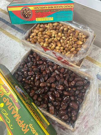 Финик,құрма