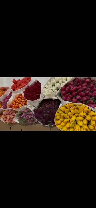 Тюльпаны свежие в наличии