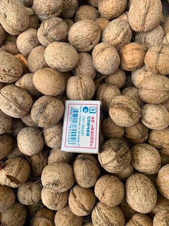 Продам грецкий орех 2025 года