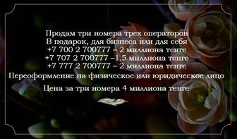 три абсолютно одинаковых номера