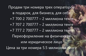 три абсолютно прекрасных одинаковых номера