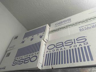 Оазис губка для цветочного бизнеса