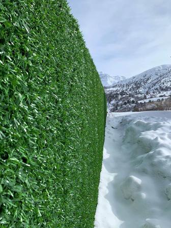 Зеленый забор из искусственной травы