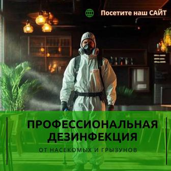 Дезинфекция от тараканов, клопов