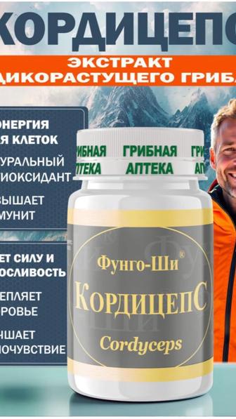 Кордицепс поднимает иммунитет, повышает работоспособность организма
