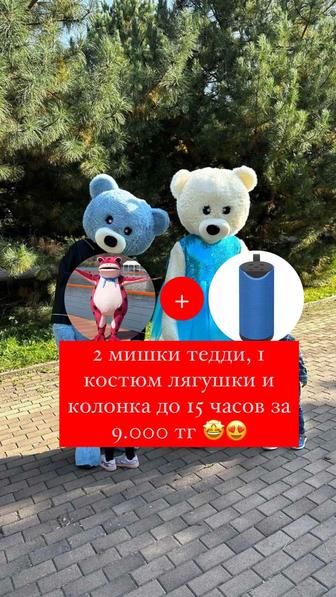 Мишки Тедди в аренду, на прокат костюмы мишек Тедди