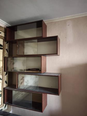 Книжные шкафы и стенка.